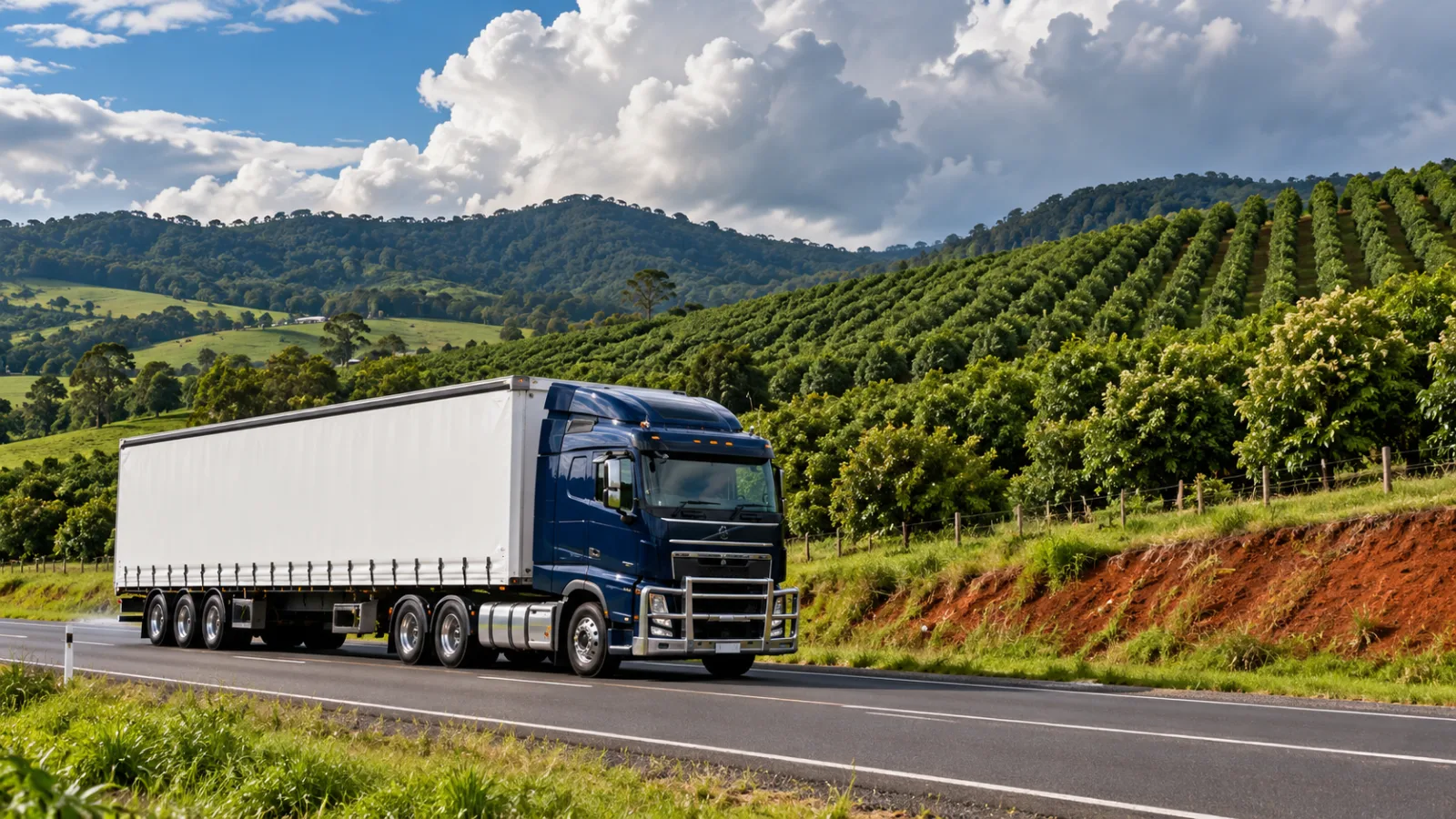 Semi-trailer on a road through green macadamia country near Lismore